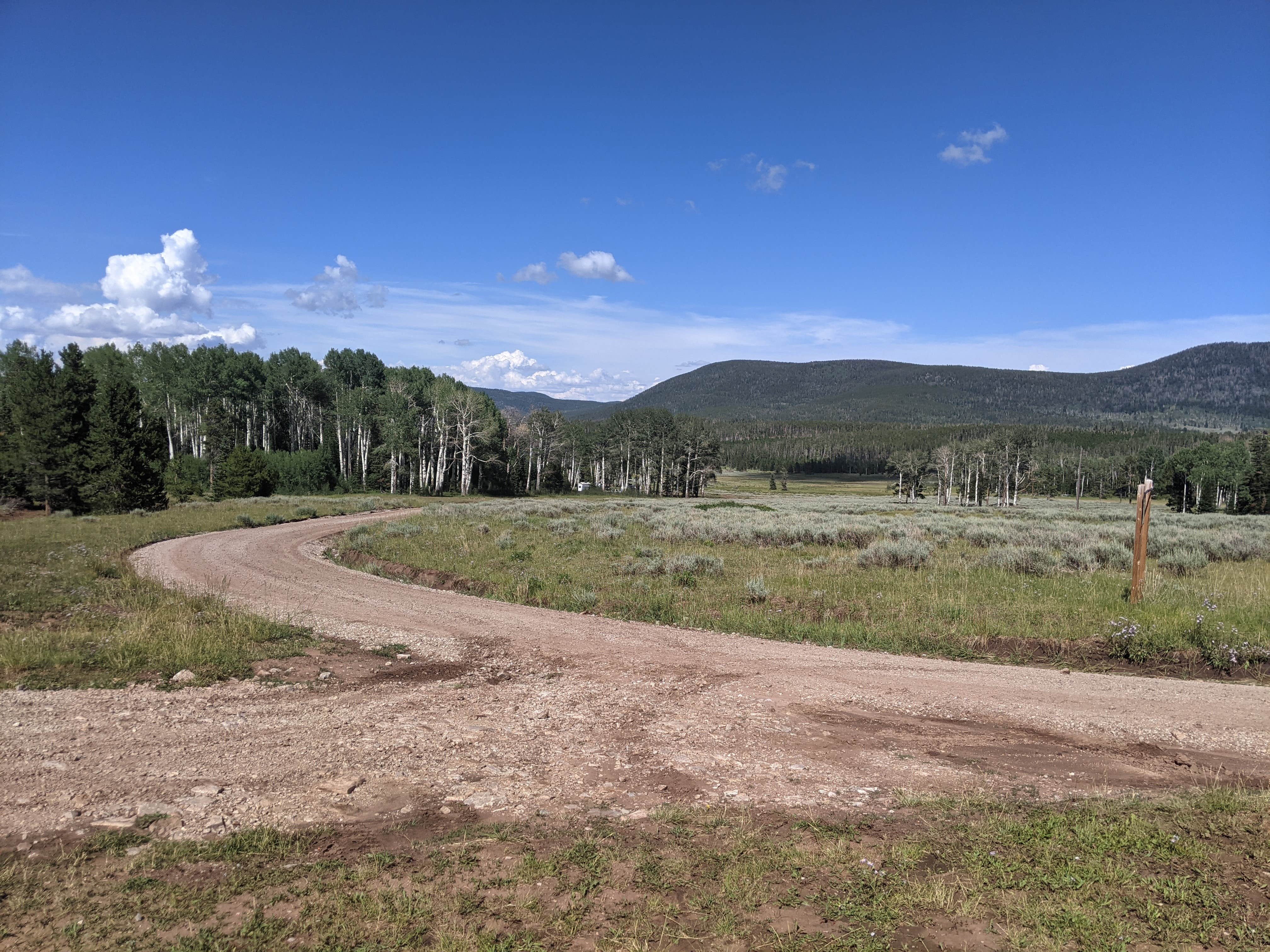 Camper-submitted photo at Grizzly Ridge Meadow Dispersed Area near Ashley National Forest