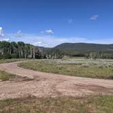 Review photo of Grizzly Ridge Meadow Dispersed Area by Greg L., July 30, 2021