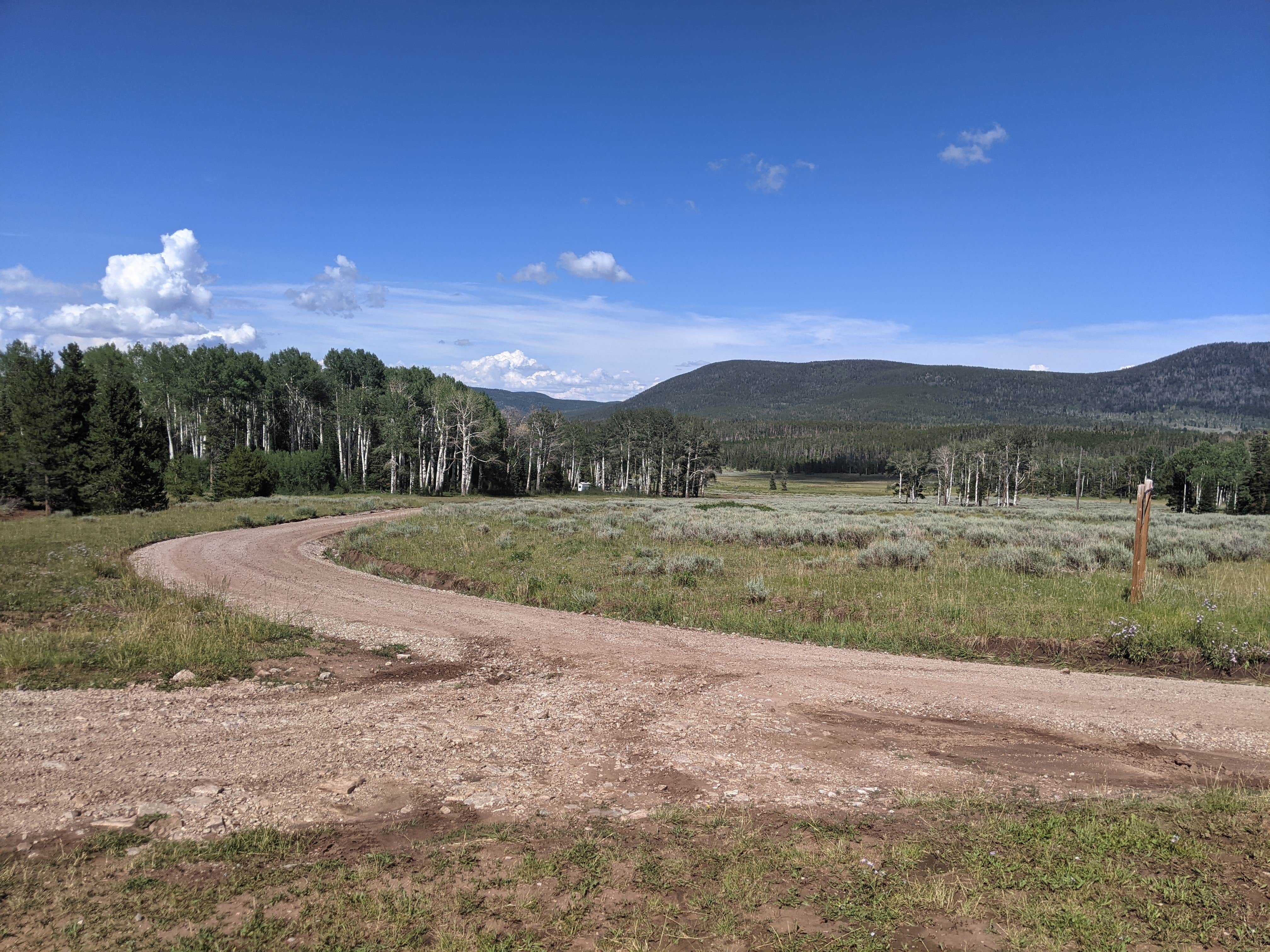 Camper submitted image from Grizzly Ridge Meadow Dispersed Area - 2