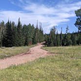 Review photo of Grizzly Ridge Meadow Dispersed Area by Greg L., July 30, 2021