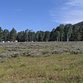 Review photo of Grizzly Ridge Meadow Dispersed Area by Greg L., July 30, 2021