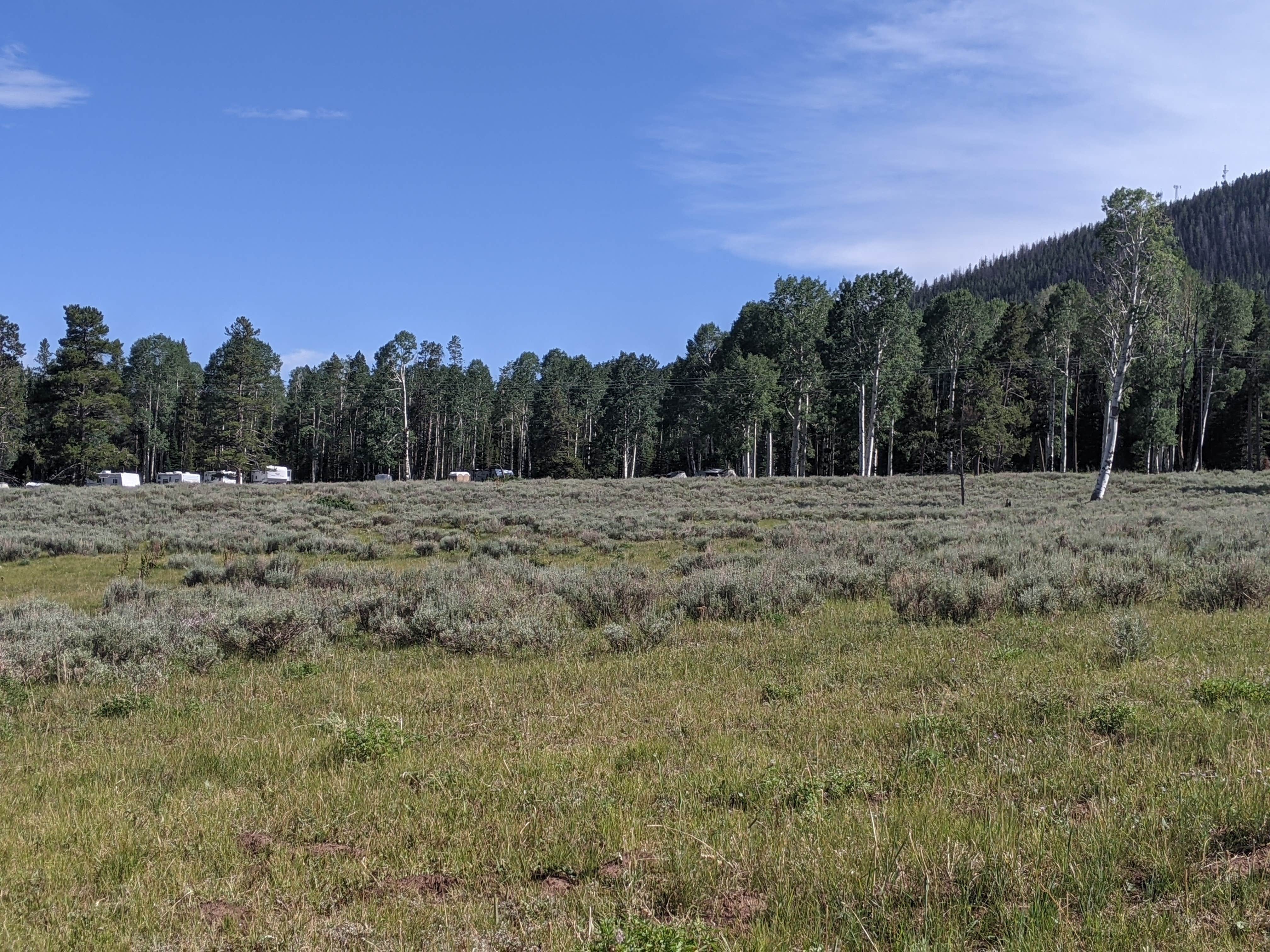 Camper submitted image from Grizzly Ridge Meadow Dispersed Area - 4