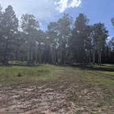 Review photo of Grizzly Ridge Meadow Dispersed Area by Greg L., July 30, 2021