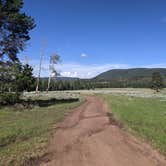 Review photo of Grizzly Ridge Meadow Dispersed Area by Greg L., July 30, 2021