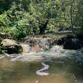 Review photo of Ophir Creek Campground (Co) — Psicc by Jeauneil , July 30, 2021