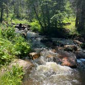 Review photo of Ophir Creek by Jeauneil , July 30, 2021