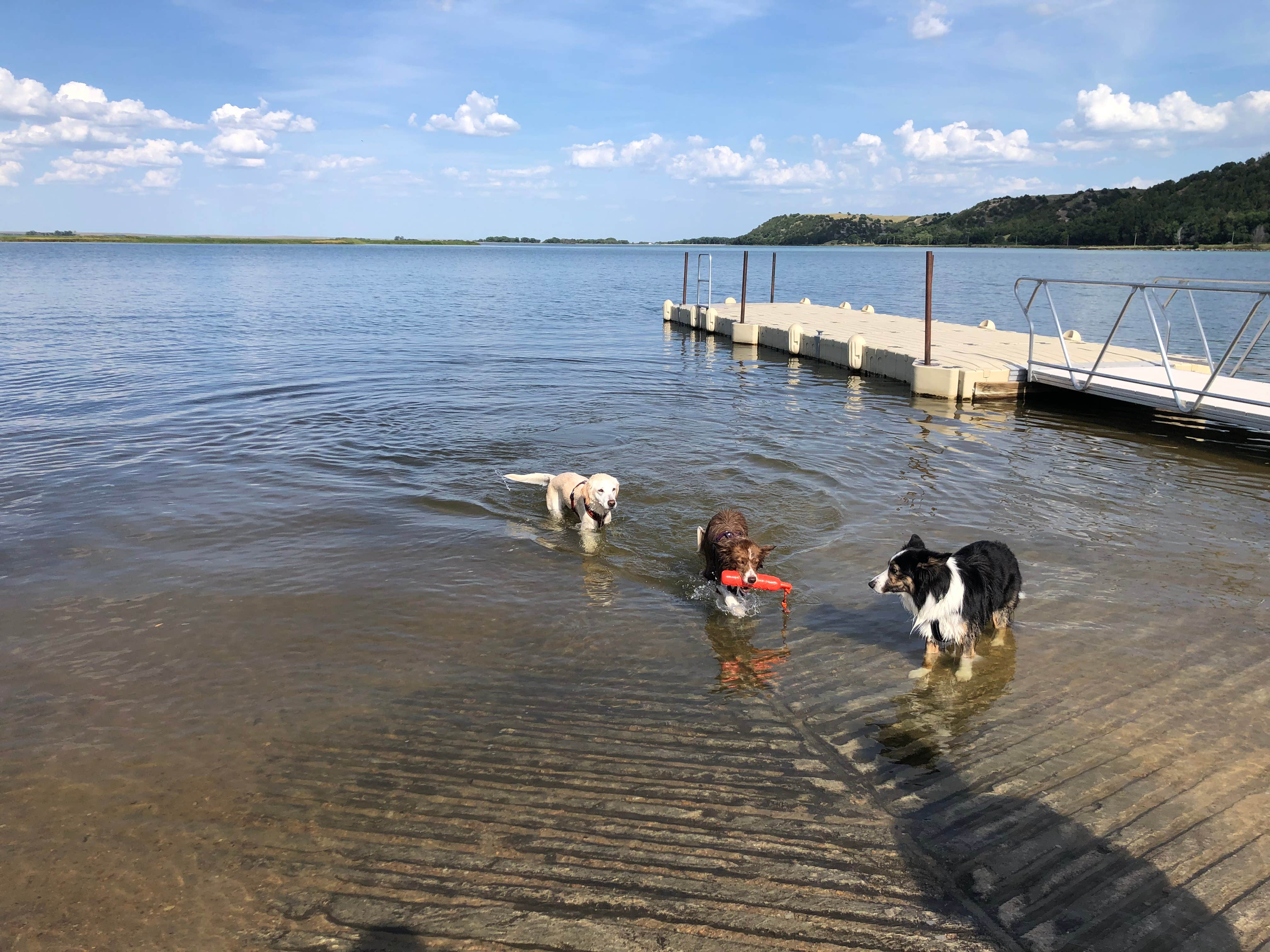 Lori C.'s photo of camping with pets at Lake Ogallala State Recreation Area Campground near Ogallala, NE
