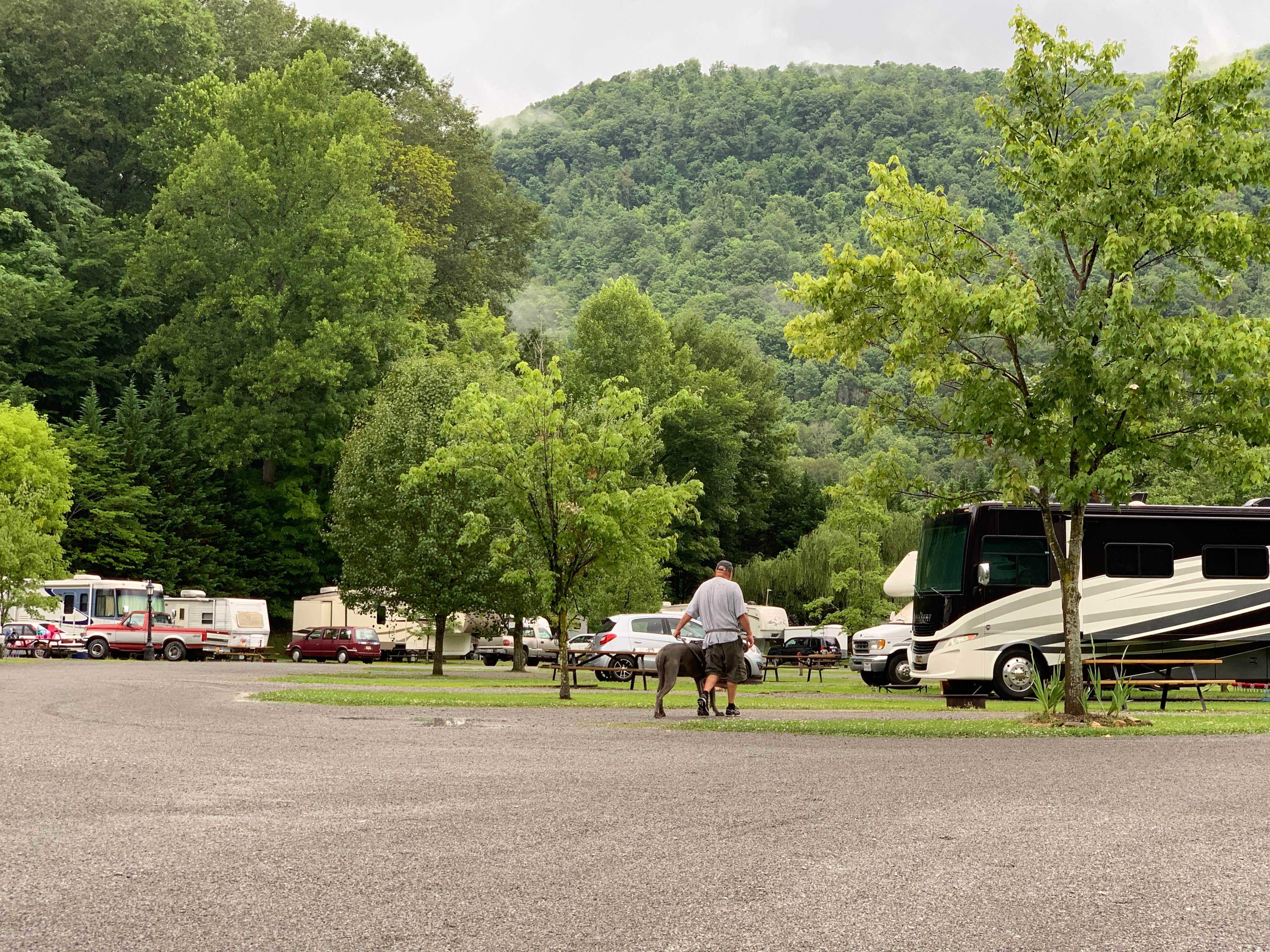 Escape to Montana's Hidden Gem: Fishtrap Lake Campground