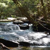 Review photo of Lake George Escape Campground by Nancy W., July 30, 2021