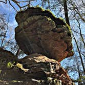 Review photo of Middle Fork Campground — Natural Bridge State Resort Park by Amber A., June 17, 2018