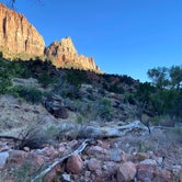 Review photo of Watchman Campground — Zion National Park by Danielle , July 30, 2021