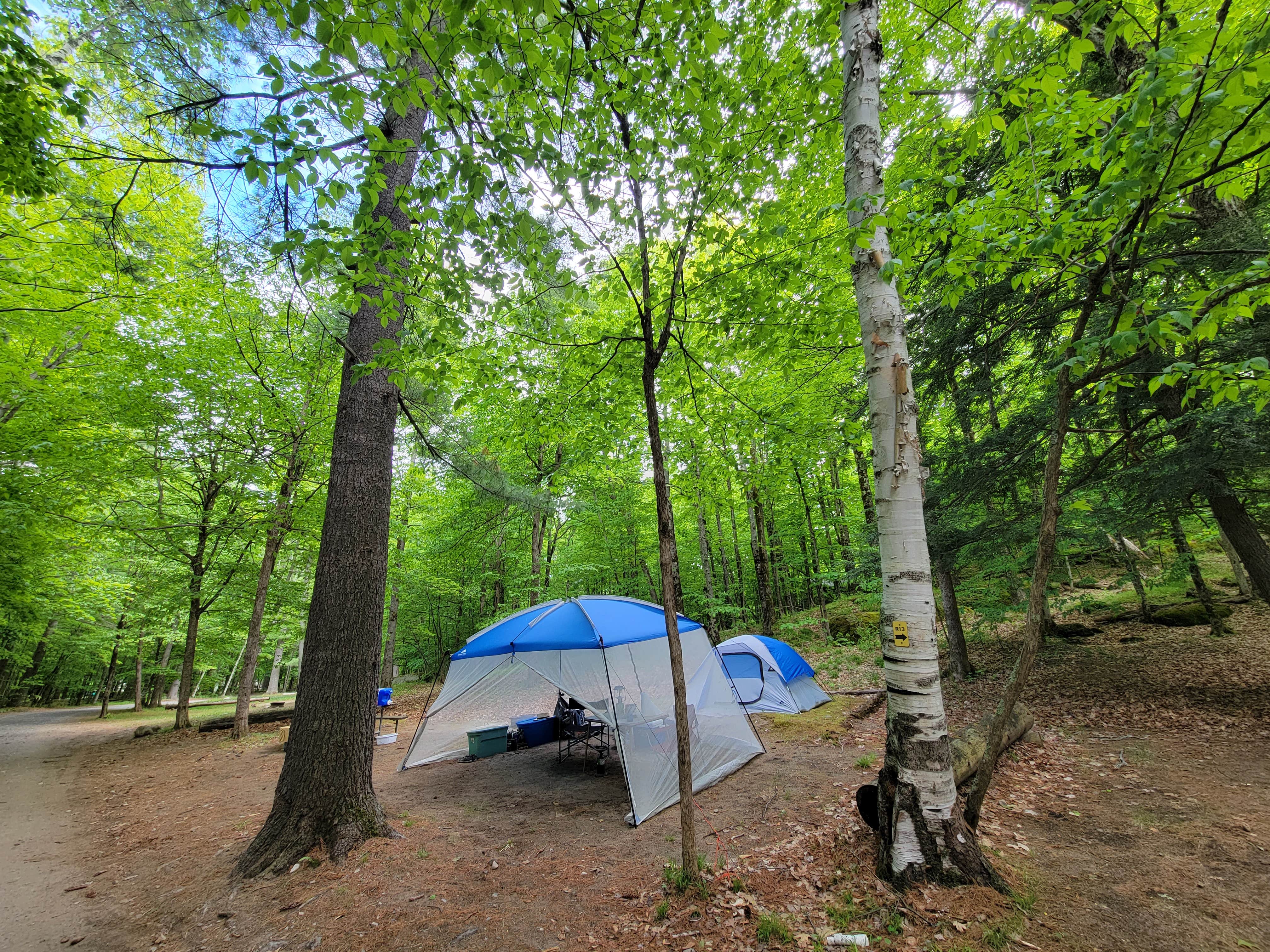 Nancy W.'s photo at Wilmington Notch Campground near Jay, NY
