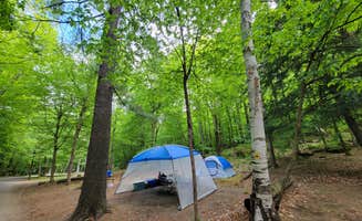 Nancy W.'s photo at Wilmington Notch Campground near Lake Placid, NY