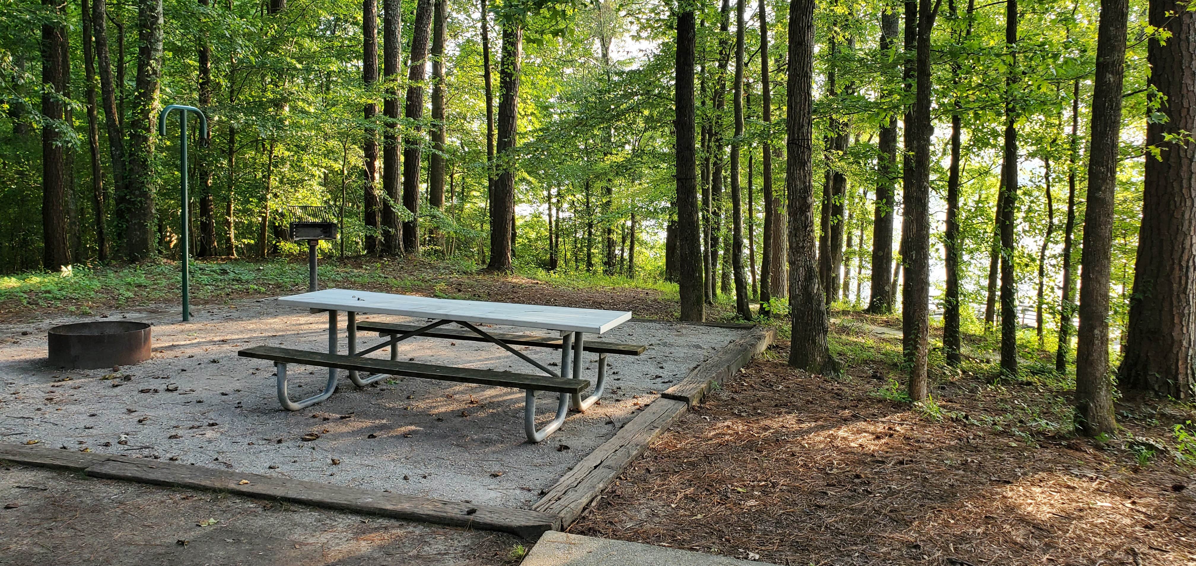 Whitten Park Campground The Dyrt