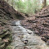Review photo of Turkey Run State Park Campground — Turkey Run State Park by Amber A., June 17, 2018