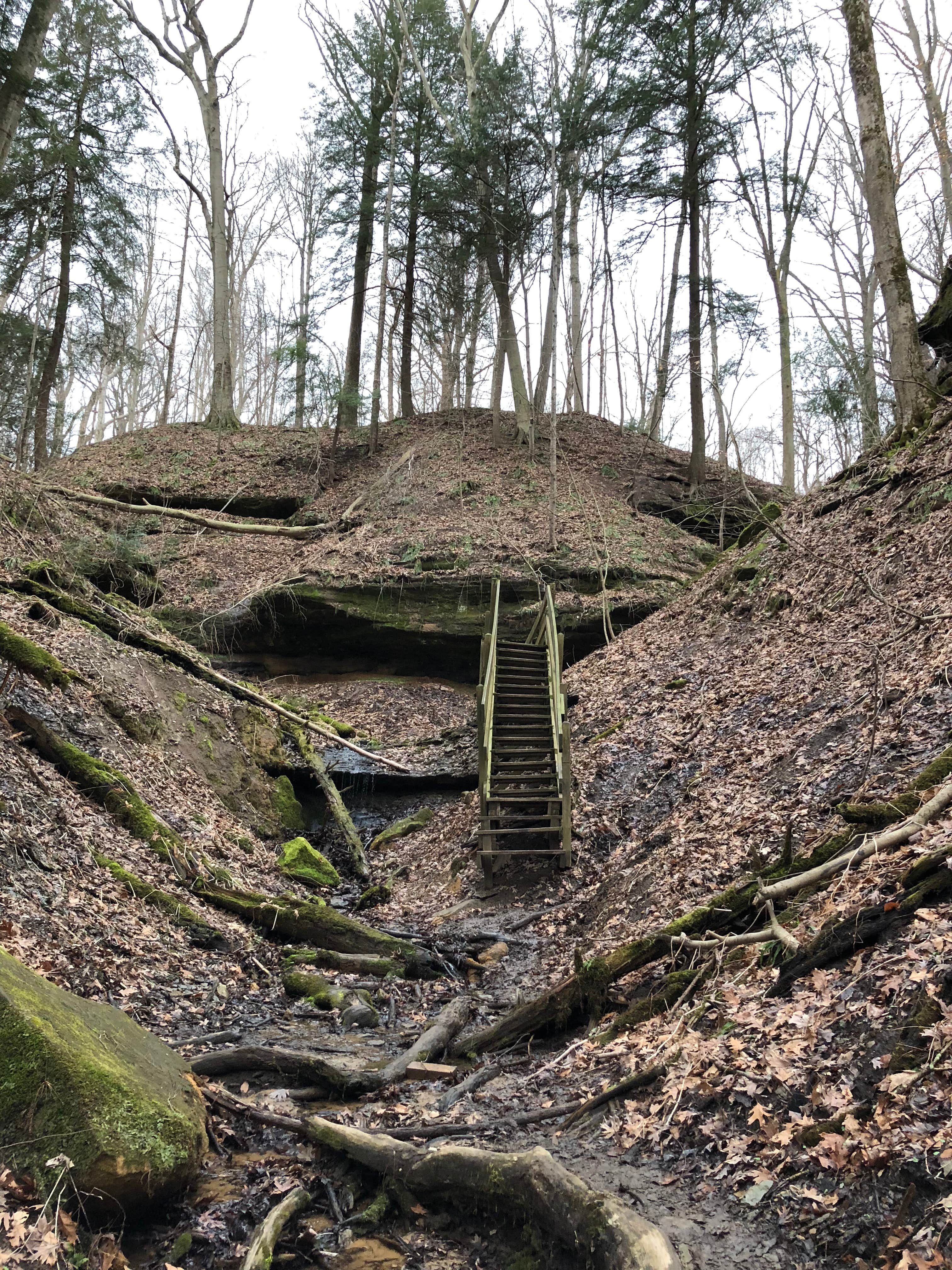 Camper-submitted photo at Turkey Run State Park Campground near Plainfield, IN