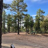 Review photo of Manzano Mountains State Park Campground by Katriza L., July 30, 2021