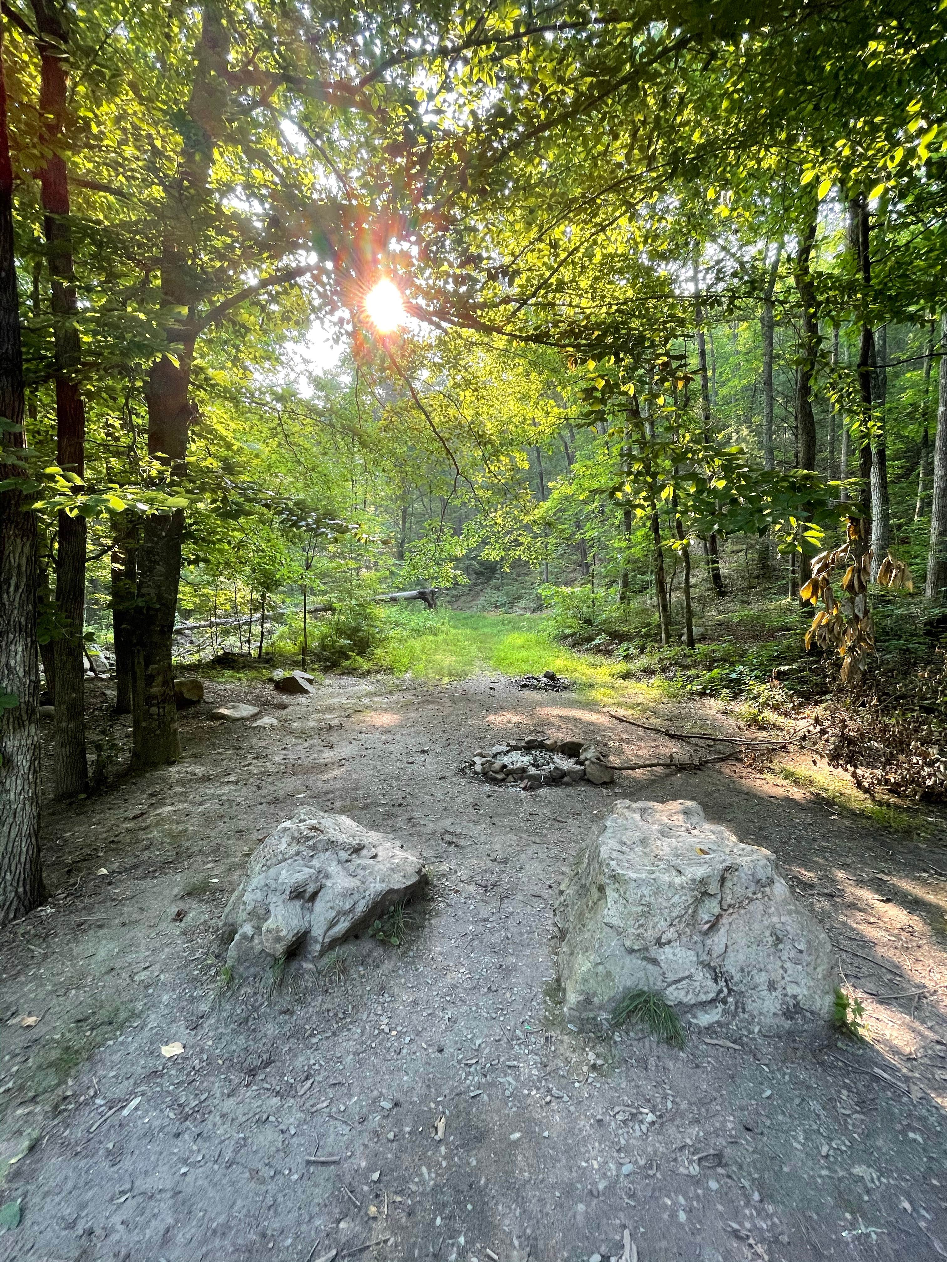 Washington National Forest off 812 The Dyrt