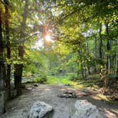 Review photo of George Washington National Forest off 812 by Mark M., July 31, 2021