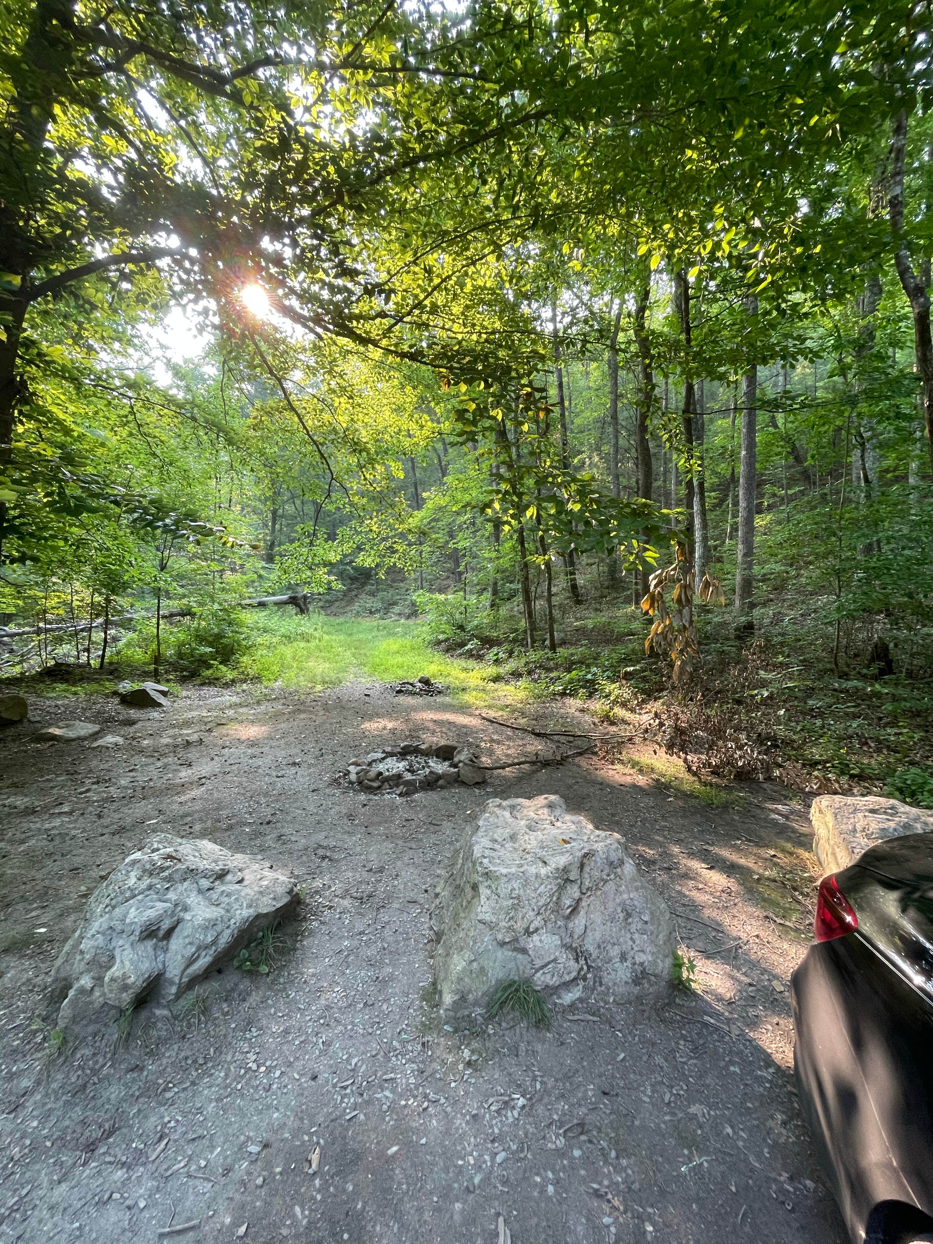 Washington National Forest off 812 The Dyrt