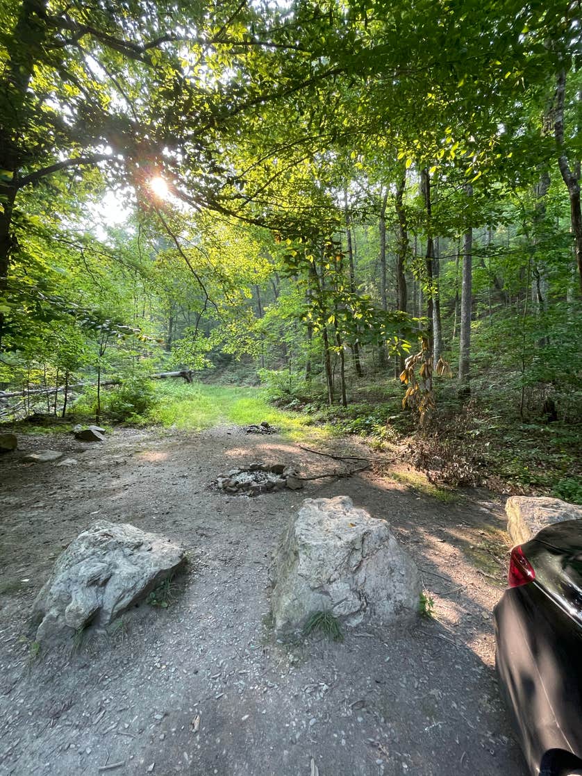 Washington National Forest off 812 The Dyrt