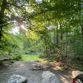 Review photo of George Washington National Forest off 812 by Mark M., July 31, 2021