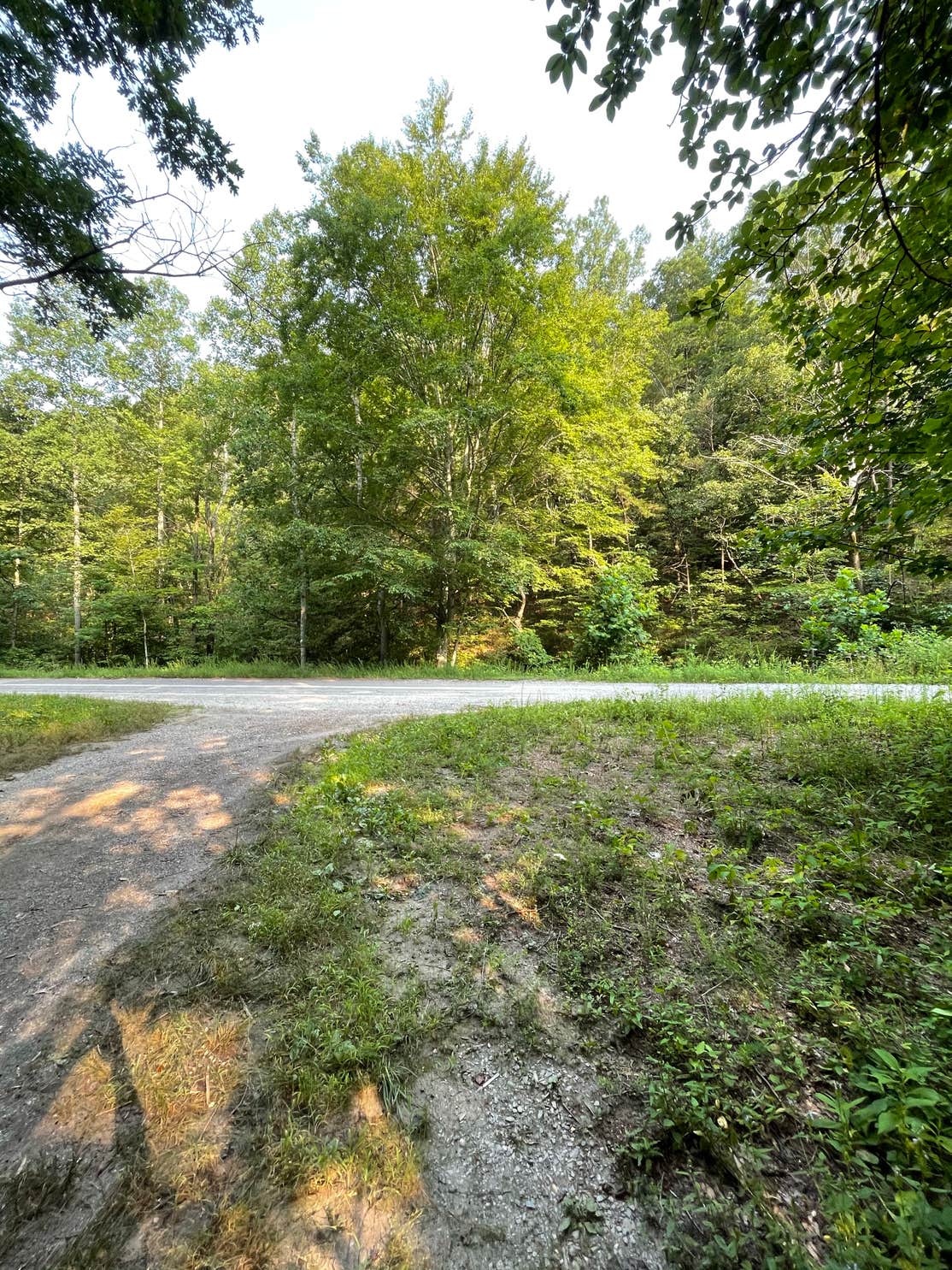 Washington National Forest off 812 The Dyrt