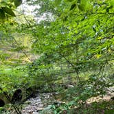 Review photo of George Washington National Forest off 812 by Mark M., July 31, 2021