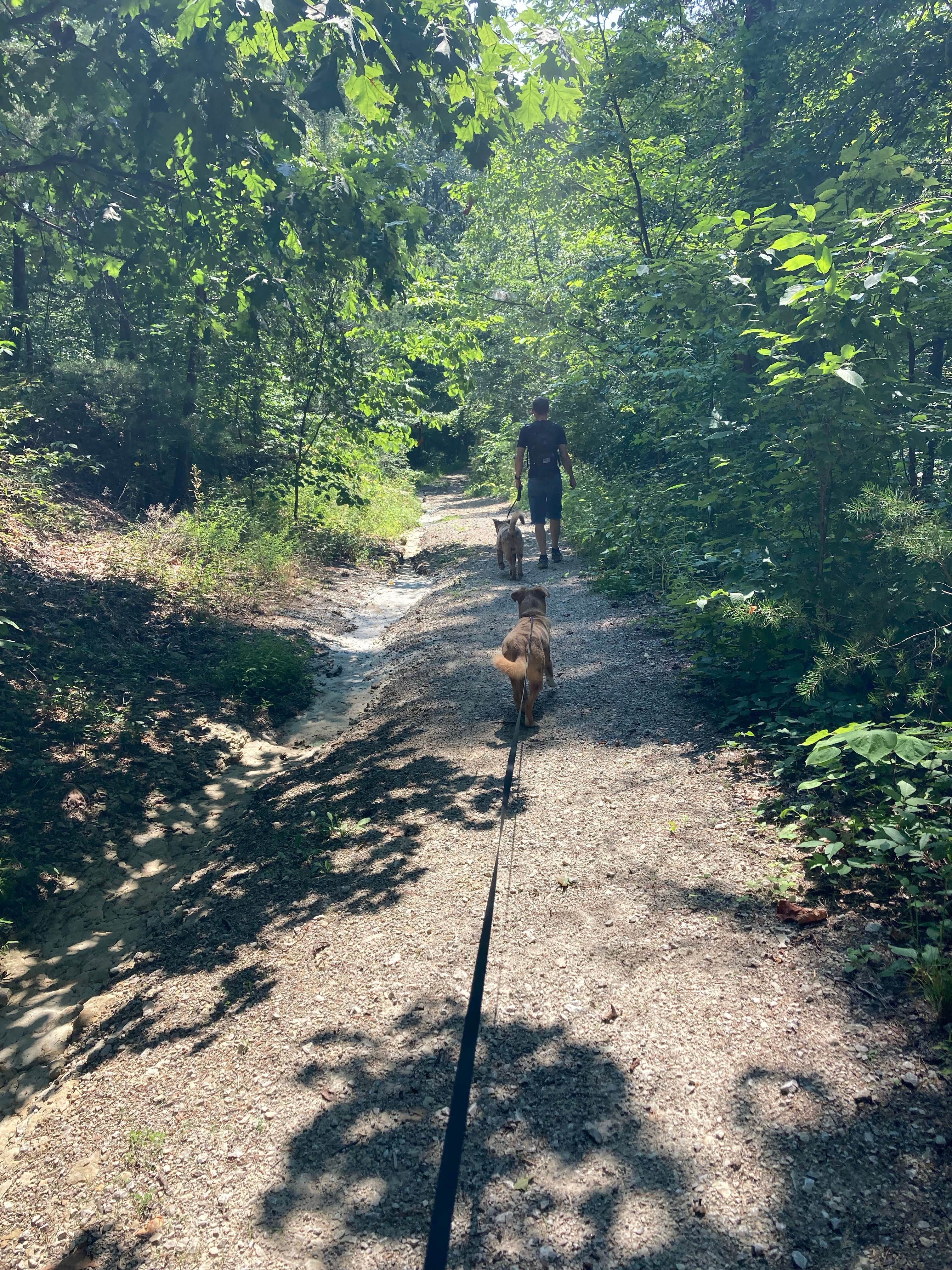 Deam lake outlet horse camp