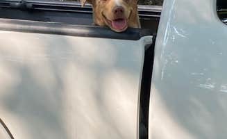 Chelsea M.'s photo of camping with pets at Deam Lake State Recreation Area Campground near Fairdale, KY