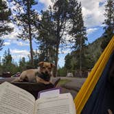 Review photo of Madison Campground — Yellowstone National Park by Leni K., July 31, 2021