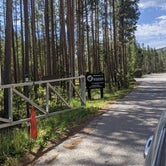 Review photo of Madison Campground — Yellowstone National Park by Leni K., July 31, 2021