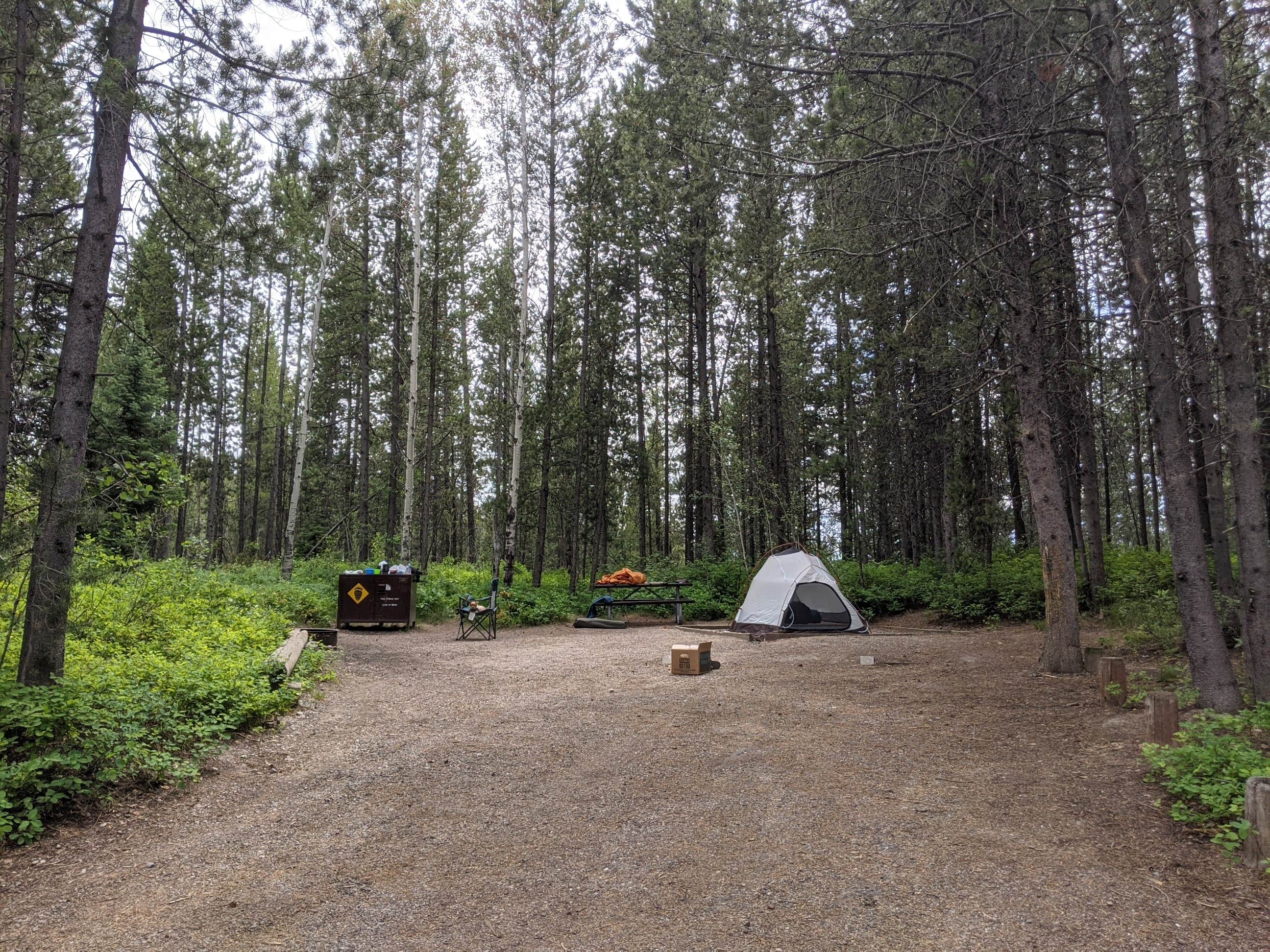 Leni K.'s photo at Signal Mountain Campground — Grand Teton National Park near Grand Teton National Park