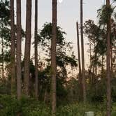 Review photo of Ahoy RV Resort by Cat R., July 31, 2021