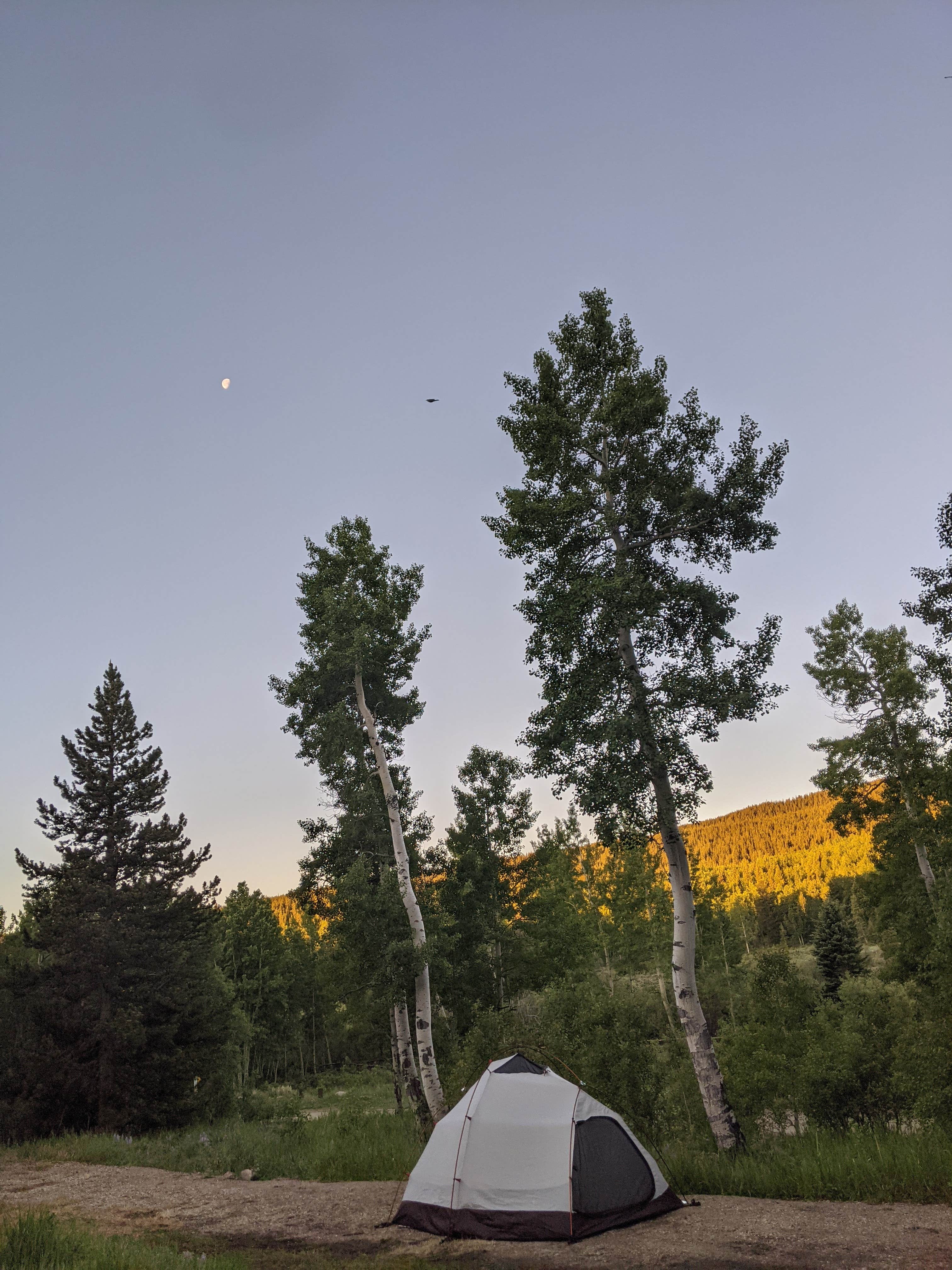 Leni K.'s photo at Circle Park Campground near Saddlestring, WY