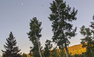 Leni K.'s photo at Circle Park Campground near Buffalo, WY