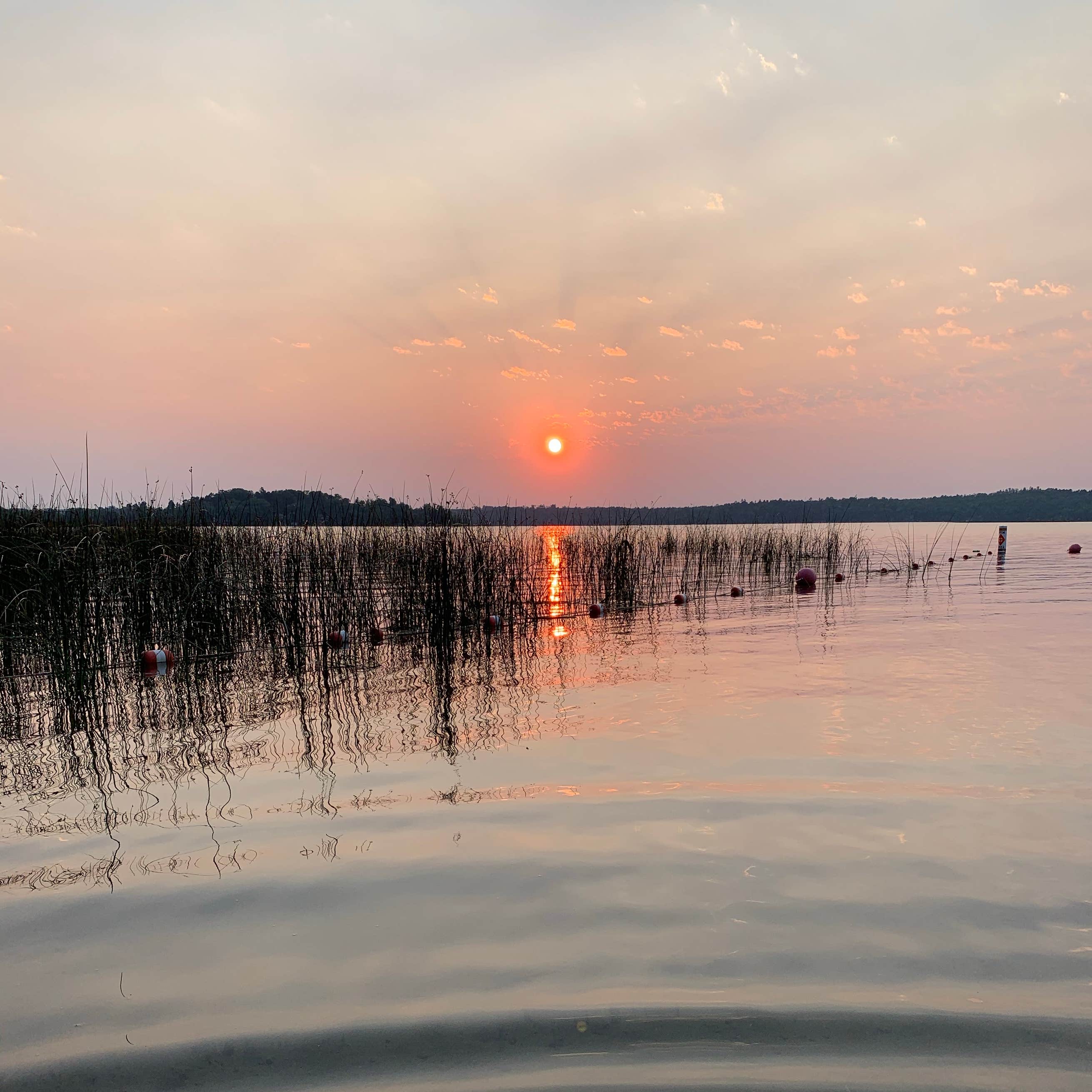 Gull Lake Recreation Area The Dyrt