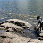 Review photo of Black Rock Campground - Sierra NF by Janelle M., July 31, 2021