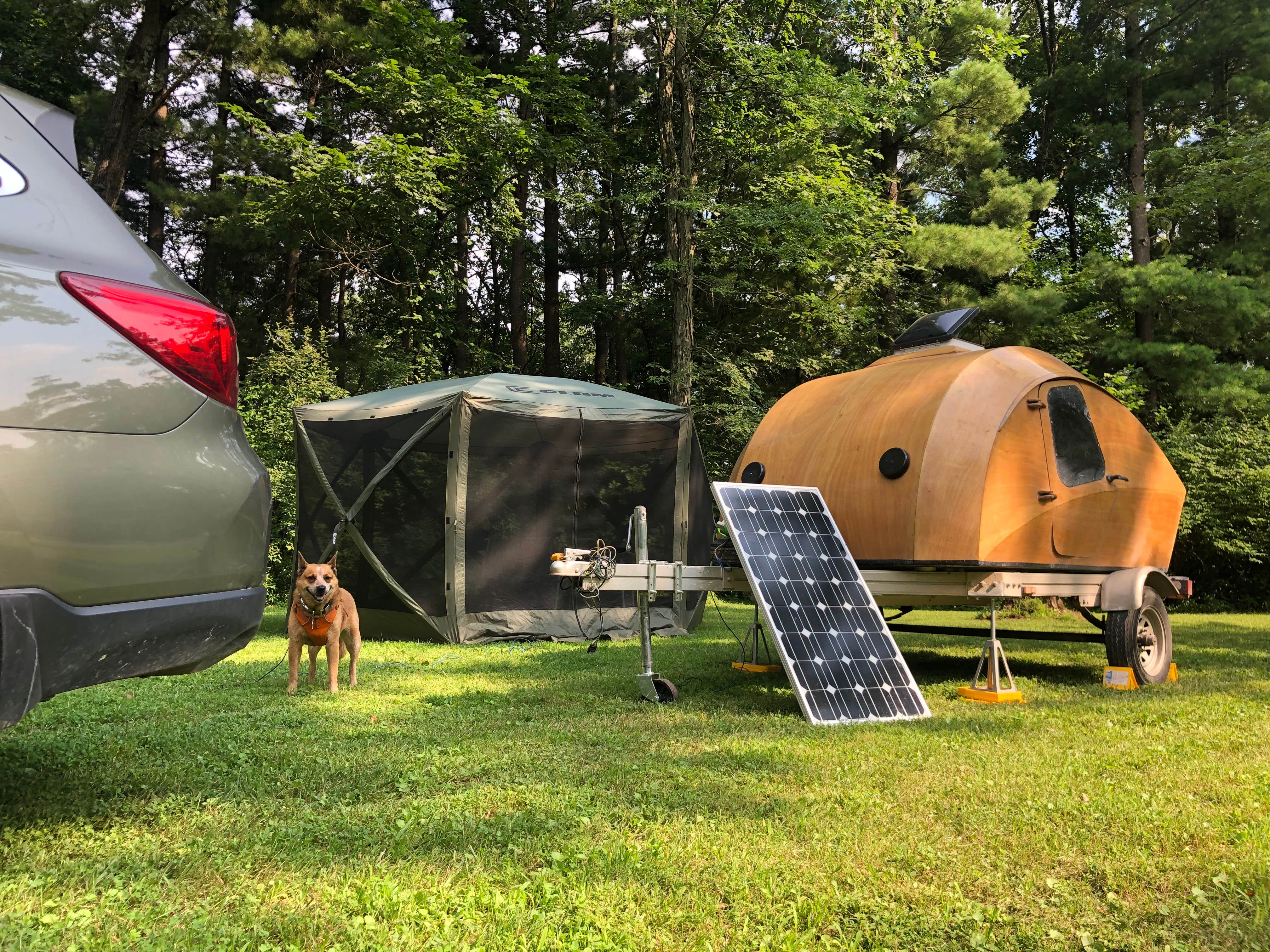 Camper submitted image from Twisted Oak Campground — Argyle Lake State Park - 5
