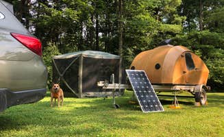 Art S.'s photo at Twisted Oak Campground — Argyle Lake State Park near West Point, IA