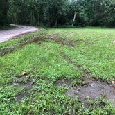 Review photo of Twisted Oak Campground — Argyle Lake State Park by Art S., July 31, 2021