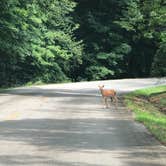 Review photo of Twisted Oak Campground — Argyle Lake State Park by Art S., July 31, 2021