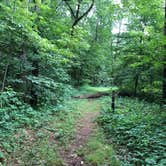 Review photo of Twisted Oak Campground — Argyle Lake State Park by Art S., July 31, 2021