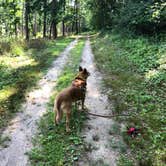 Review photo of Ottawa Lake Campground — Kettle Moraine State Forest-Southern Unit by Art S., July 31, 2021