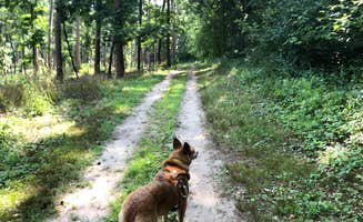 Art S.'s photo of camping with pets at Ottawa Lake Campground — Kettle Moraine State Forest-Southern Unit near Waukesha, WI