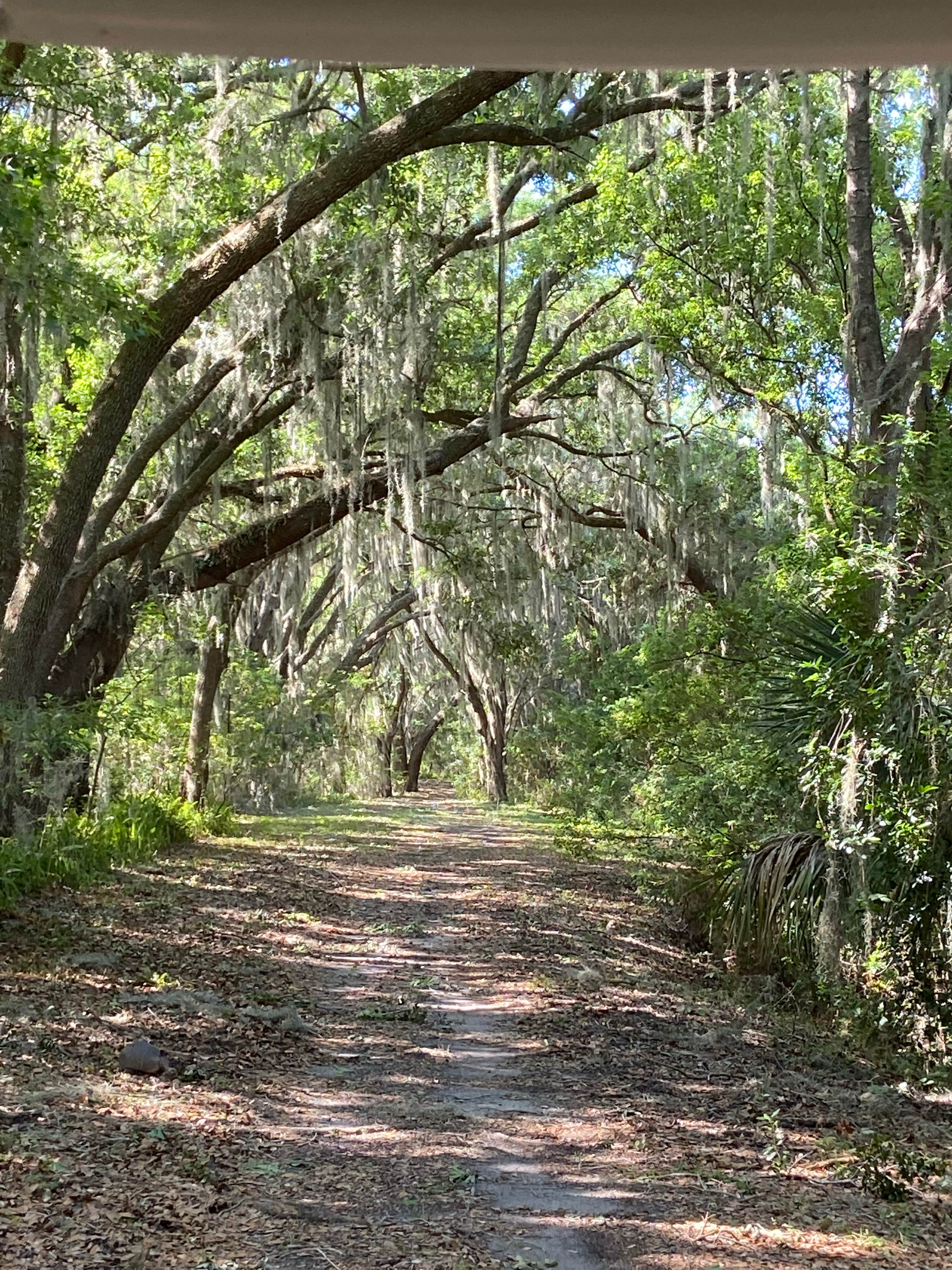 Camper-submitted photo at Sanlan RV & Golf Resort near Bartow, FL