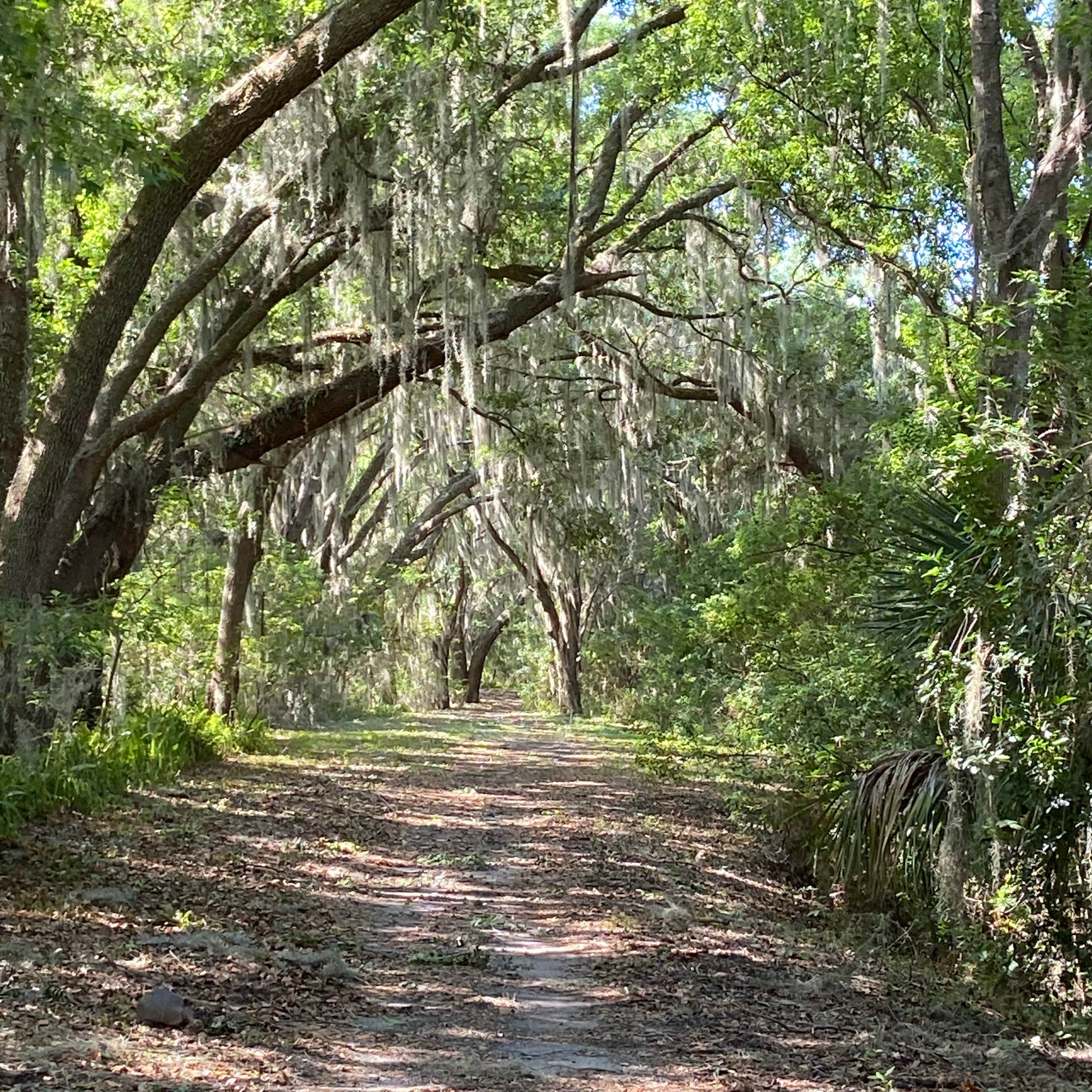 Sanlan RV & Golf Resort Camping The Dyrt