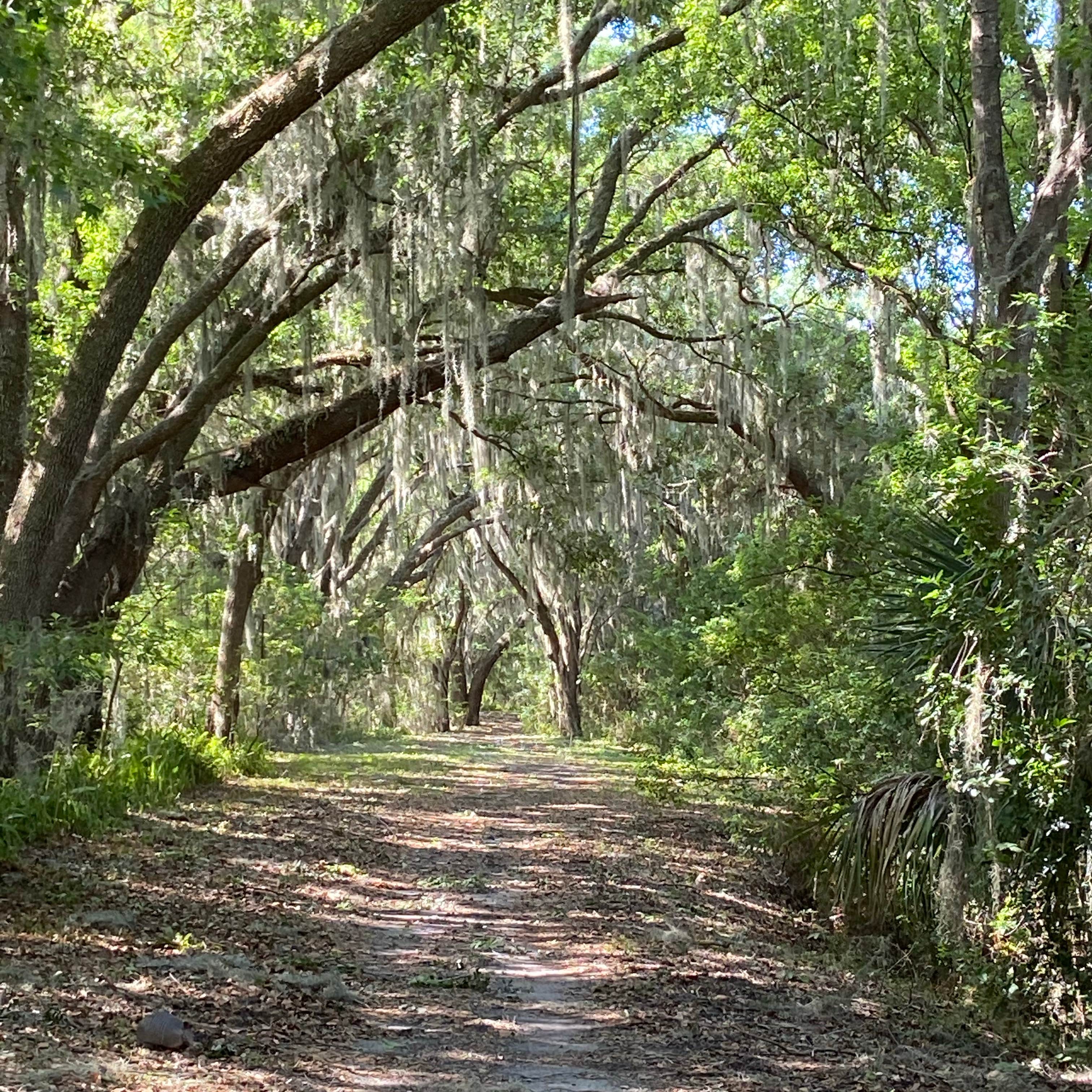 Escape to Paradise: Your Florida Adventure Awaits at Sanlan RV Park