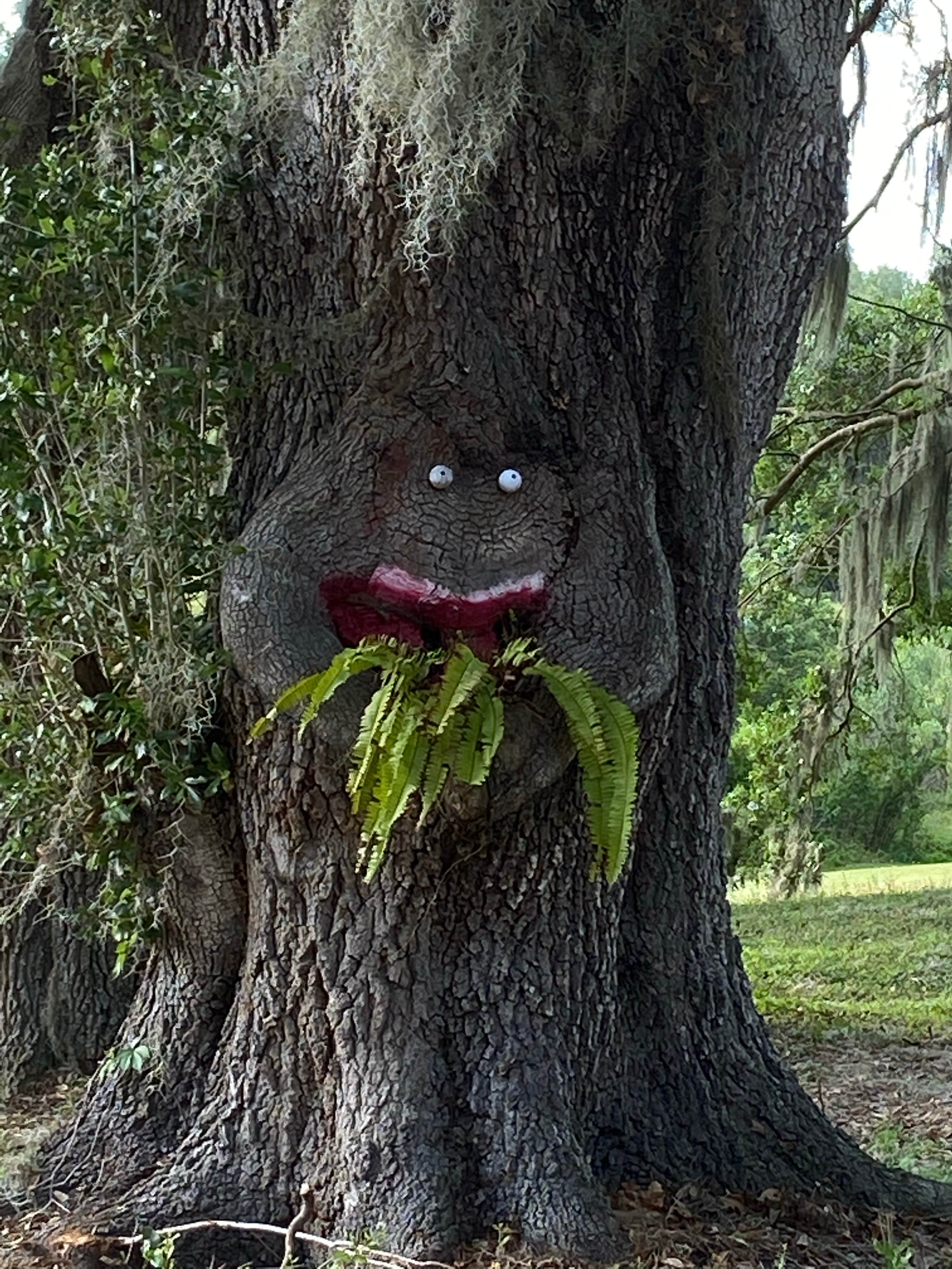 Sanlan RV & Golf Resort Lakeland, FL