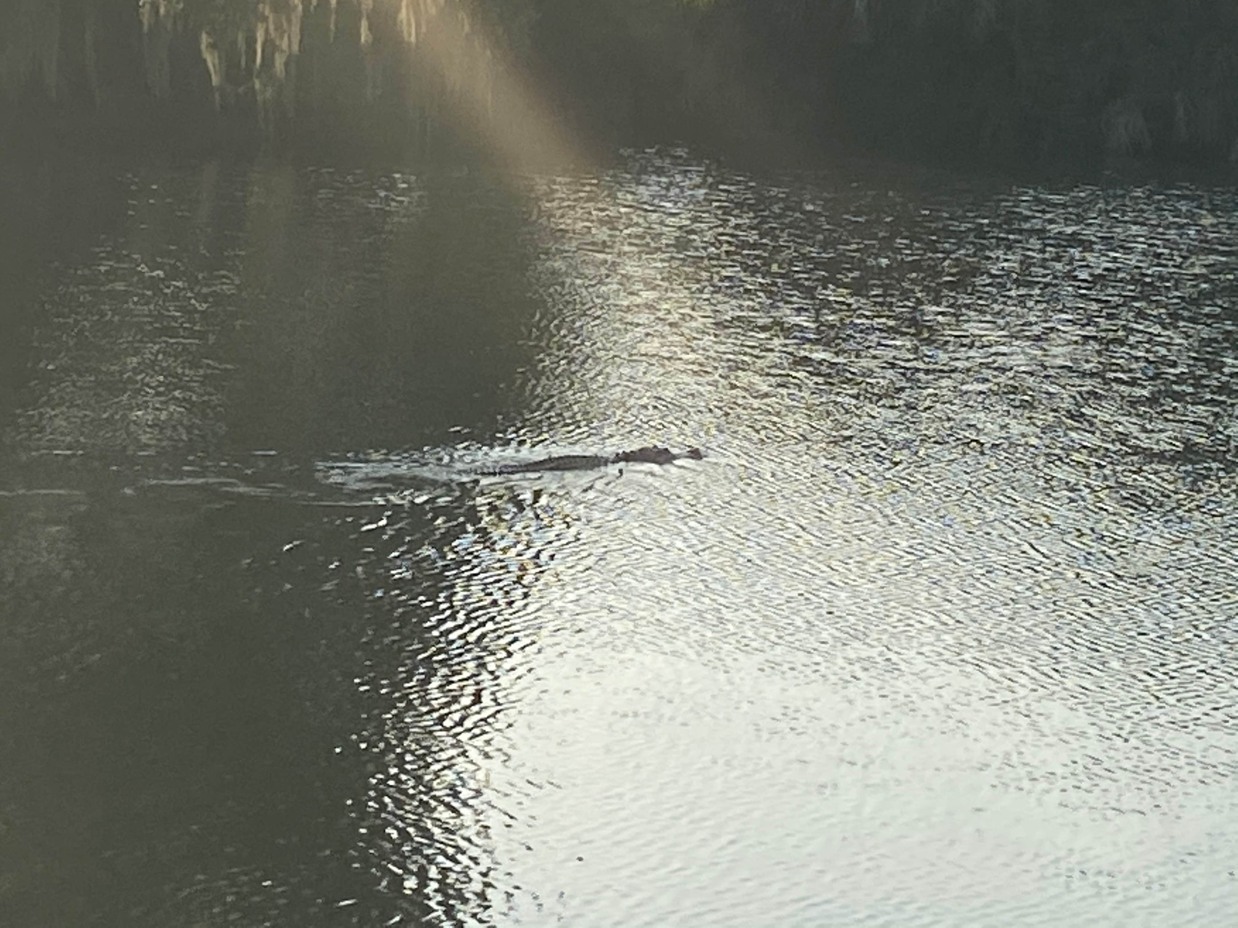 Camper-submitted photo at Sanlan RV & Golf Resort near Bartow, FL